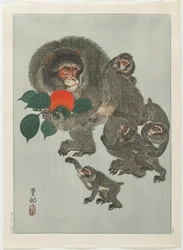 Affen und Kakis, 1930er Jahre